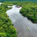 Amazon rain forest