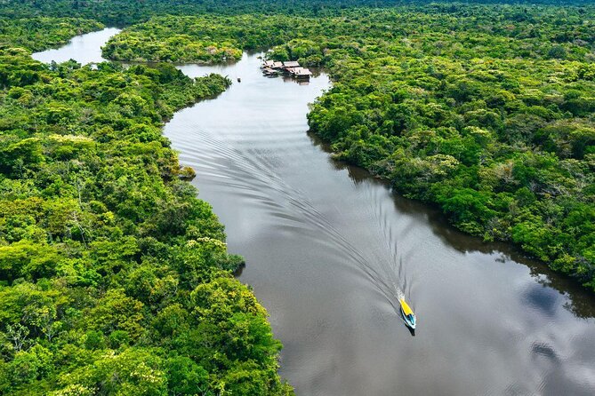 Amazon rain forest