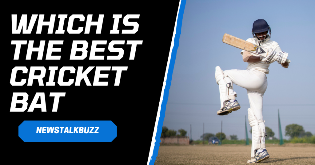 which is the best cricket bat