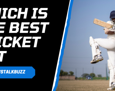 which is the best cricket bat