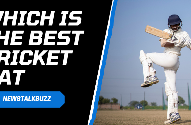 which is the best cricket bat