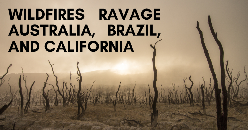 Wildfires Ravage Australia, Brazil, and California