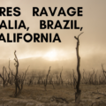 Wildfires Ravage Australia, Brazil, and California