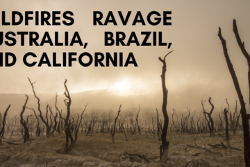 Wildfires Ravage Australia, Brazil, and California