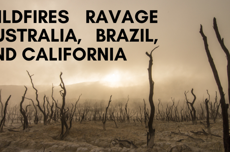 Wildfires Ravage Australia, Brazil, and California